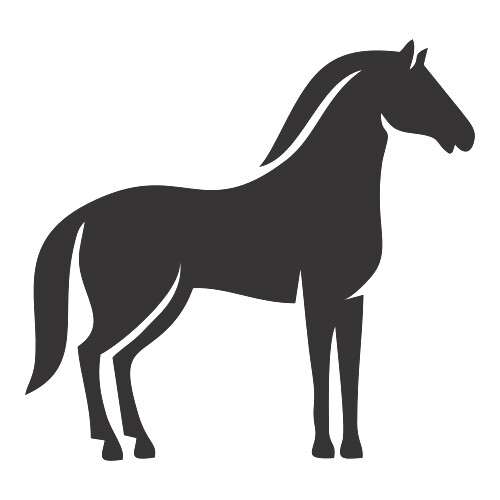Adesivo Cavalo / Preto
